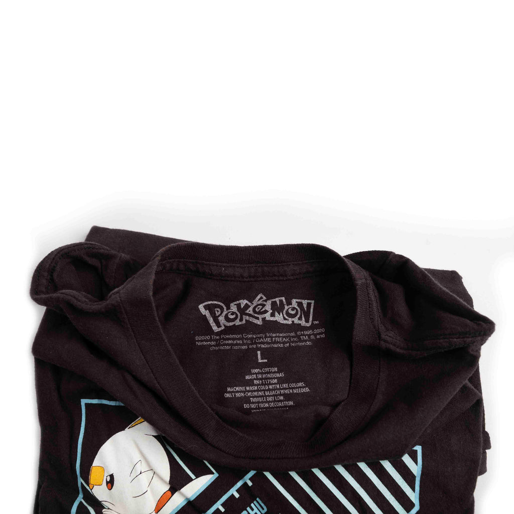 Pokemon Anime T