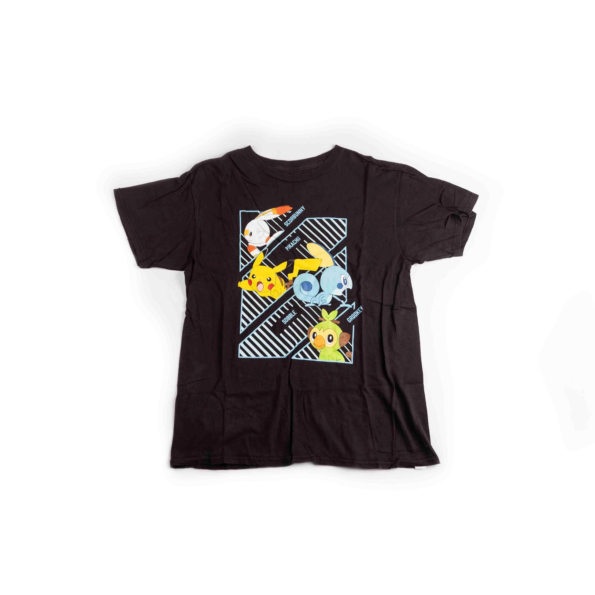 Pokemon Anime T