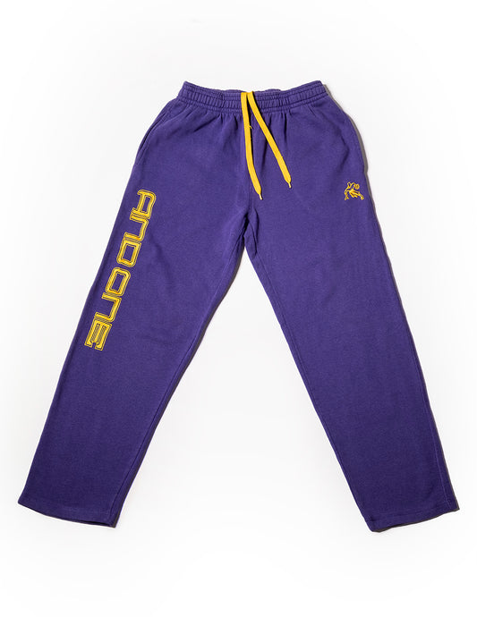 AND 1 sweat pants